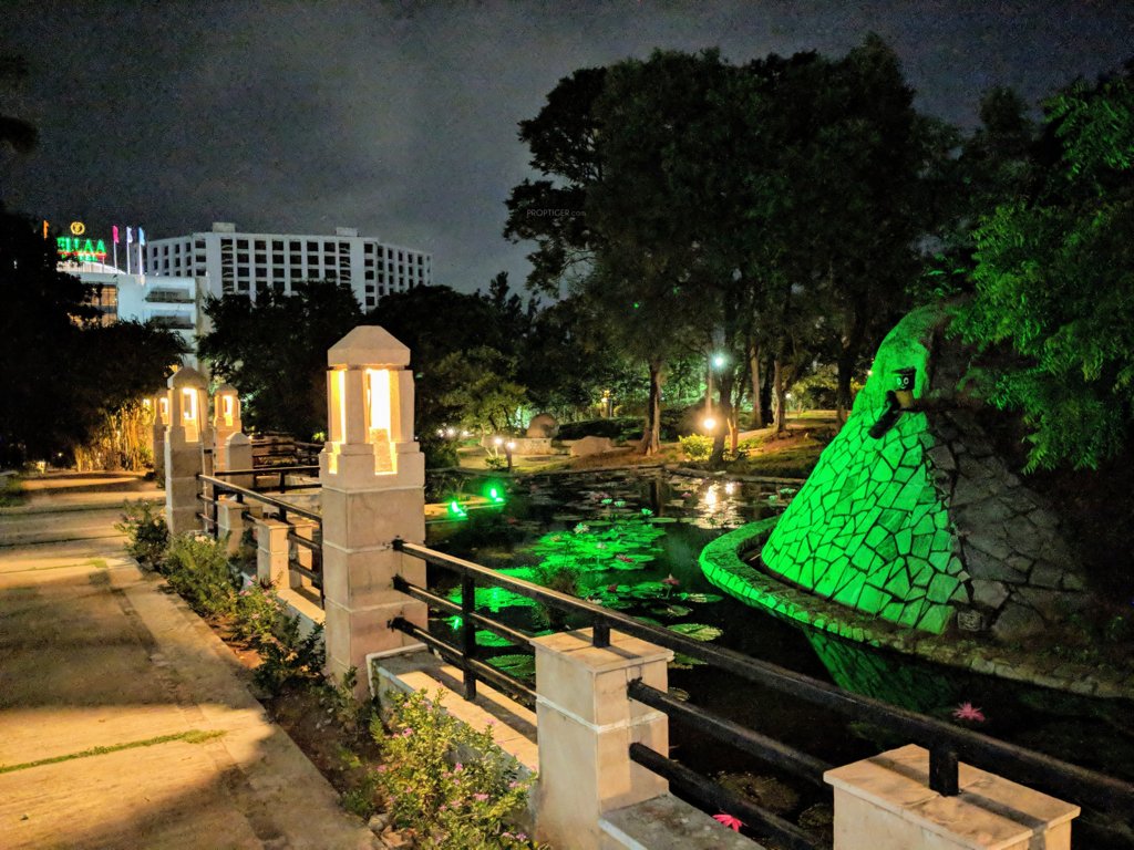 hill ridge springs Natural Pond