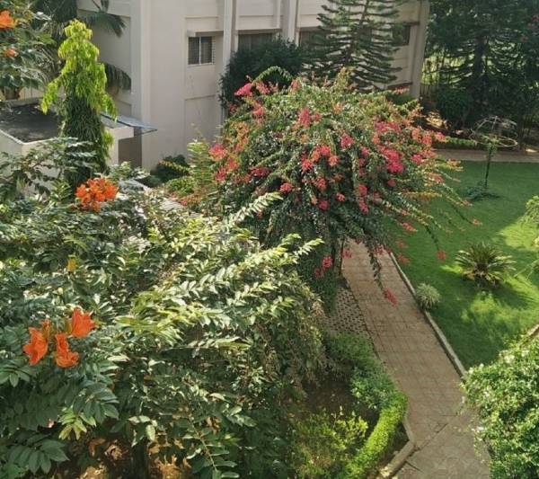  abby Landscaped Gardens