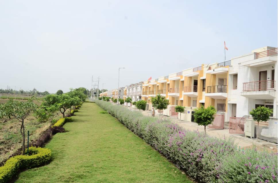 sampada Landscape Garden and Tree Planting