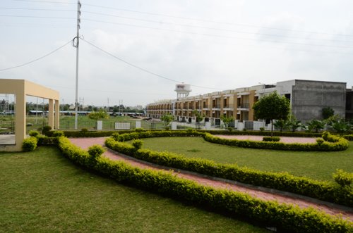  sampada Landscape Garden and Tree Planting