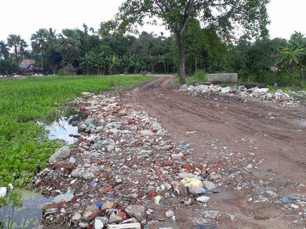 Images for mainOther