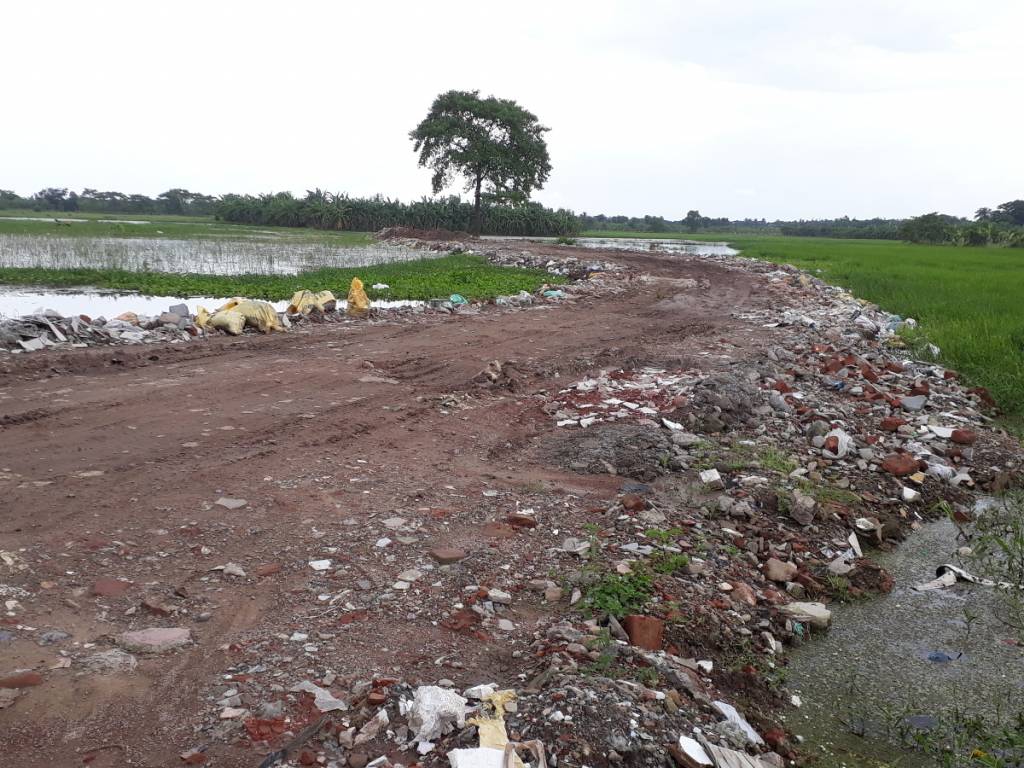 Images for mainOther