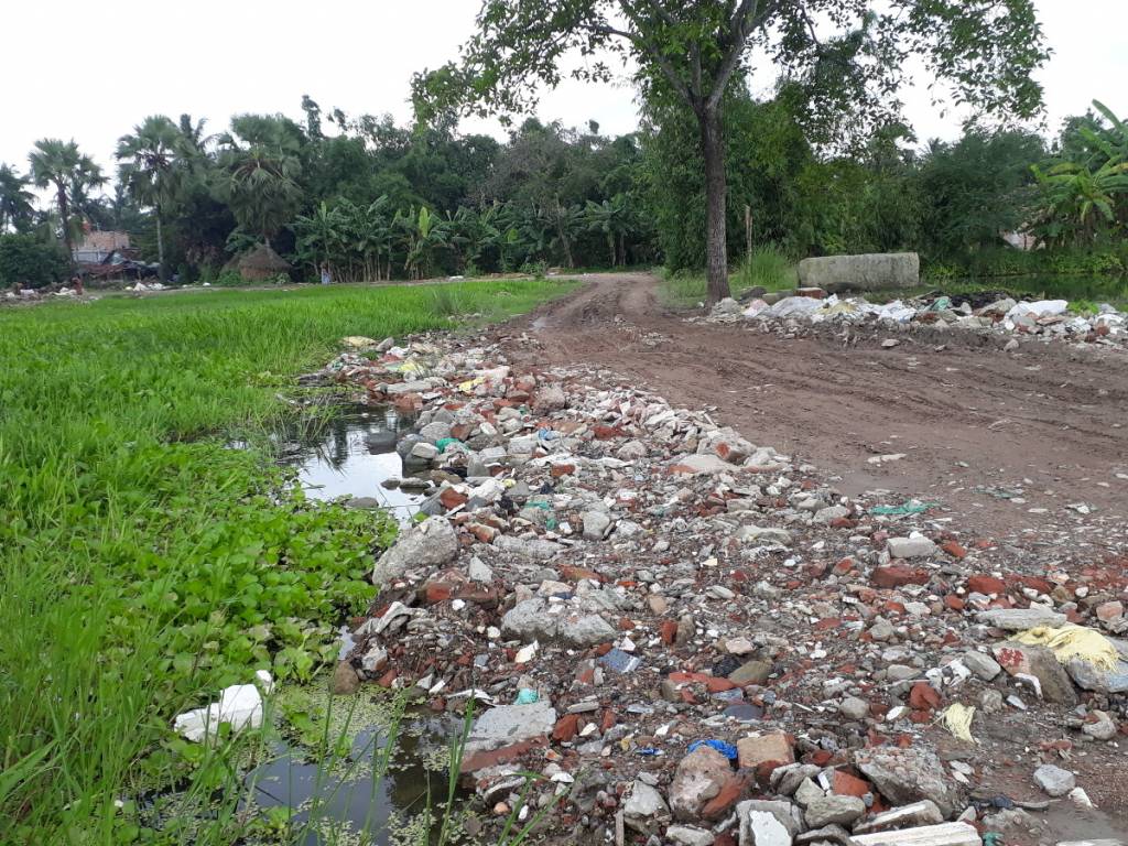 Images for mainOther