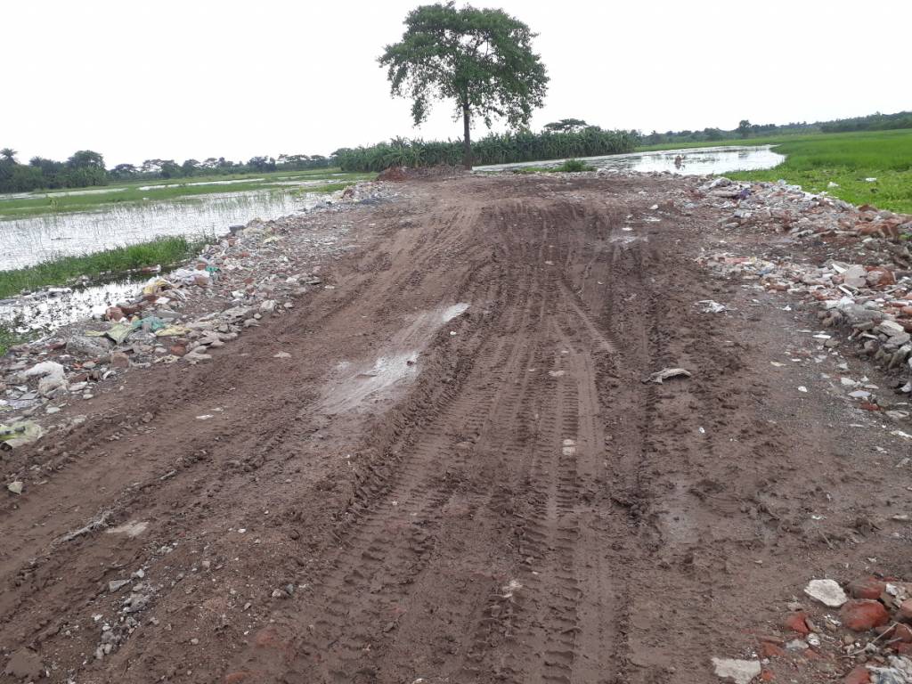 Images for mainOther