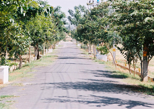 nandanavana plots Others