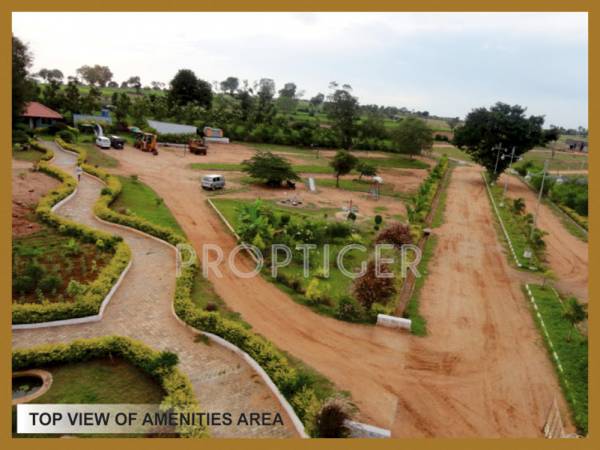 Images for Main Other of Blue Nice Vistas Plots