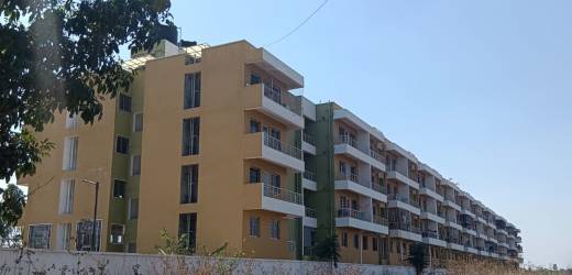 sunshine Elevation Elevation