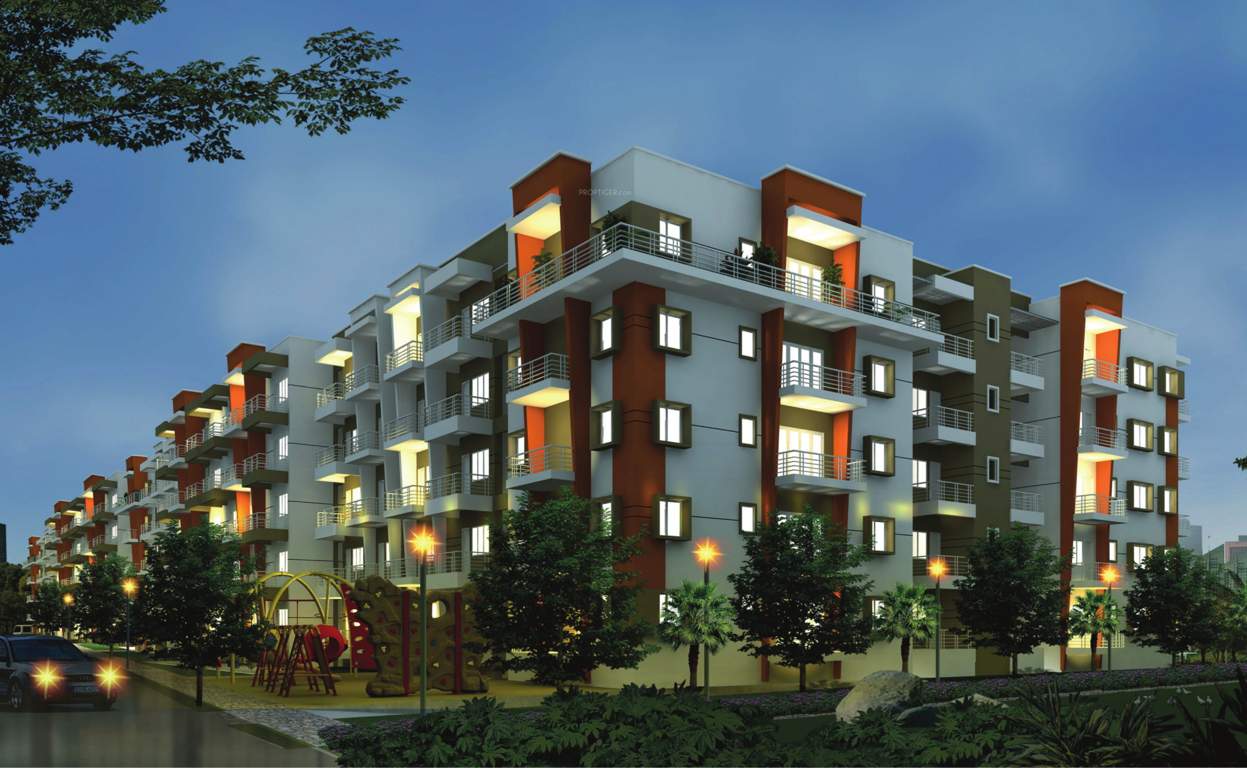  crossandra Images for Elevation of Akshaya Crossandra