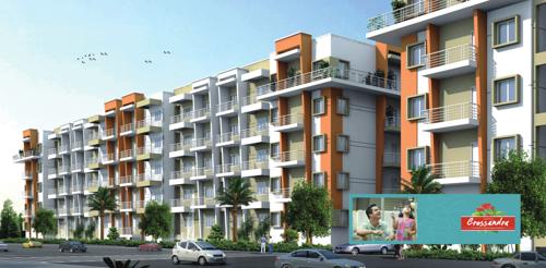  crossandra Images for Elevation of Akshaya Crossandra