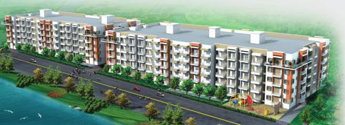  crossandra Images for Elevation of Akshaya Crossandra