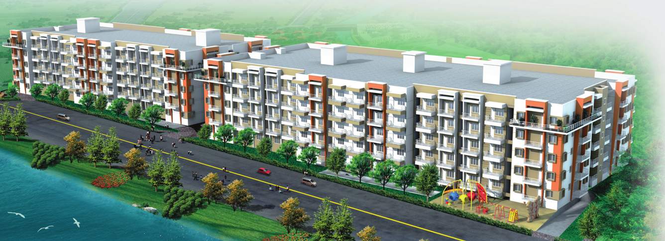  crossandra Images for Elevation of Akshaya Crossandra