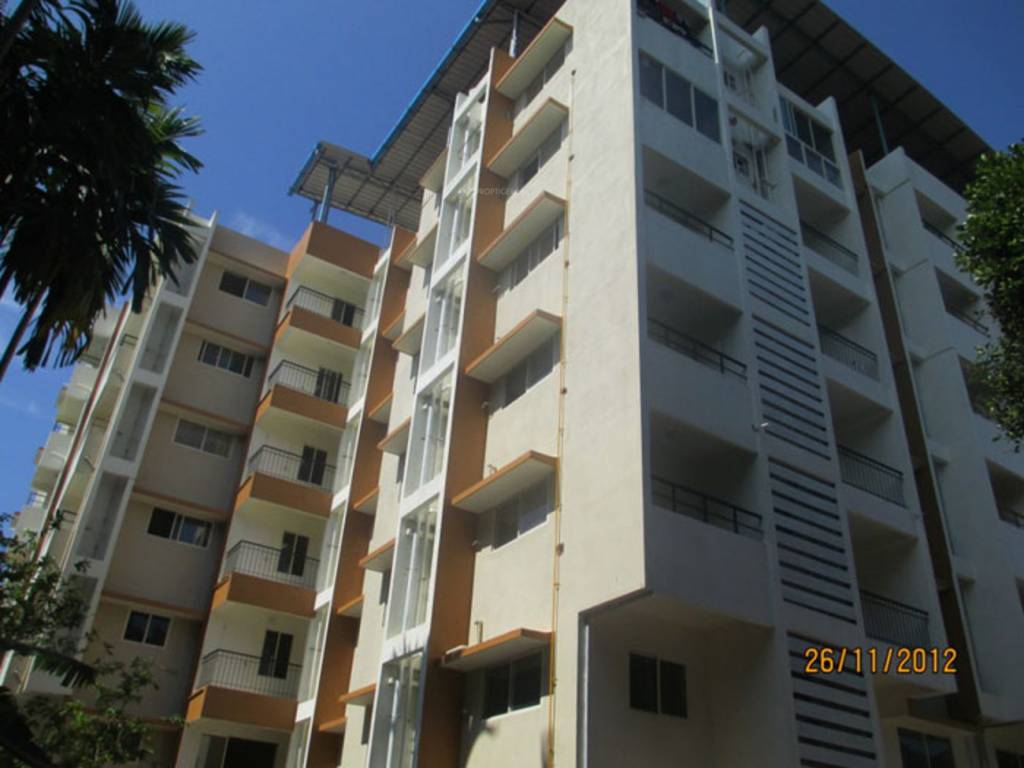 Images for Elevation of Plama Habitat