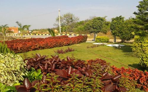 Images for Main Other of Shirdi Townships Golden City