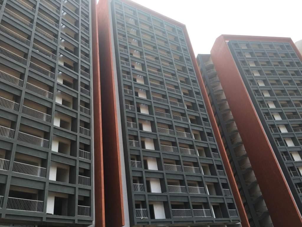  grande Images for Elevation of Plama Grande