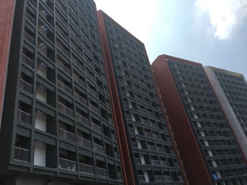 Images for Elevation of Plama Grande grande Images for Elevation of Plama Grande