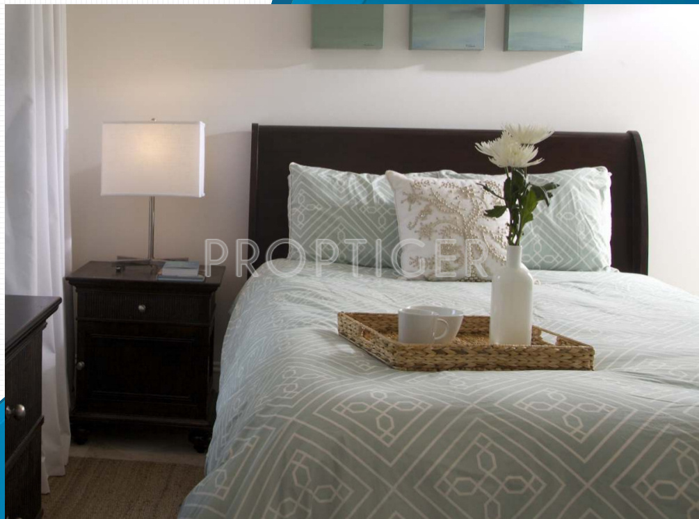 Images for Main Other of Plama Gardenia