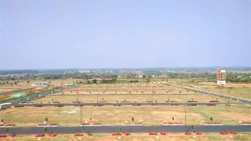Images for Main Other of Ajmal Flora Valley Plots