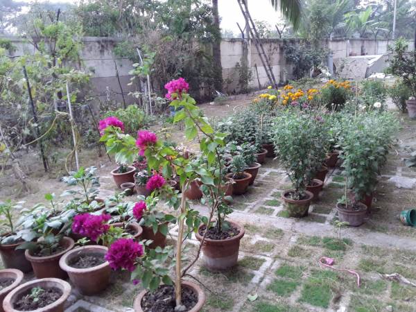  kendriya-vihar Others