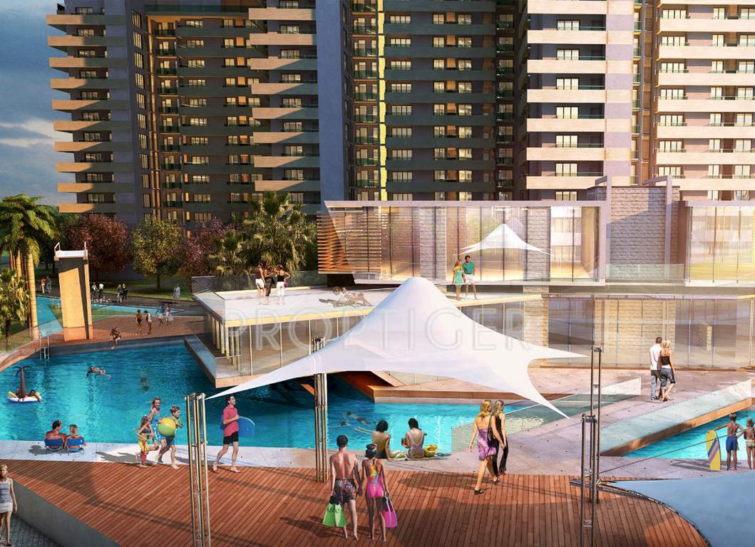 arena Images for Amenities of Lotus Arena