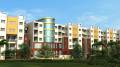 Enrico Solutions Pvt Ltd Gold Edge Village