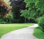 Images for Amenities of Vaswani Walnut Creek Apartment