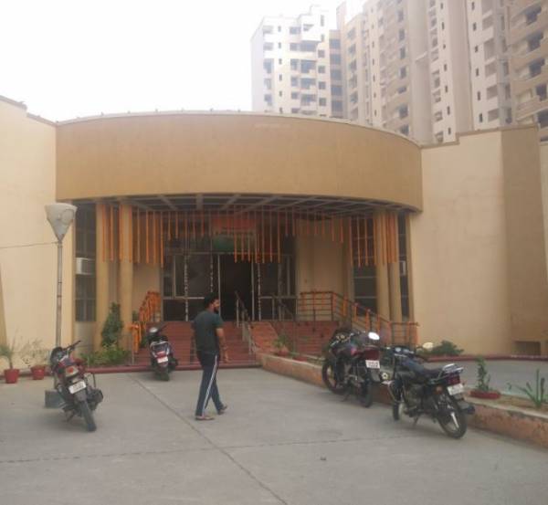  sunrise-greens Others