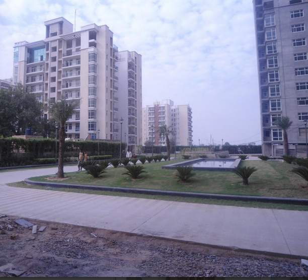 spa village Landscape Garden and Tree Planting