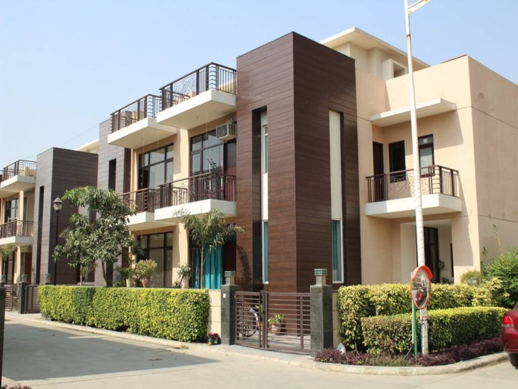 rose ville Elevation