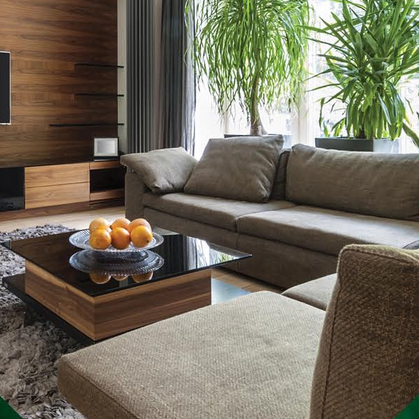 Living Area emeralds Living Area