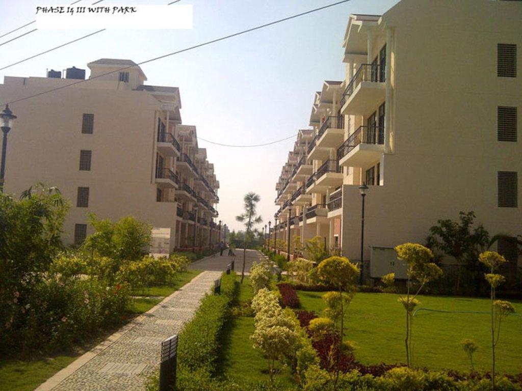 Images for Elevation of Omaxe Royal View Homes