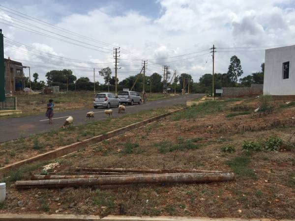 Images for Amenities of Aspire Silver Springs Plots Images for Amenities of Aspire Silver Springs Plots