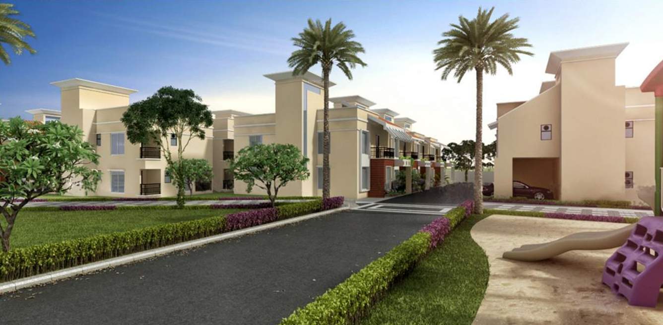  amora Images for Elevation of Aratt Amora