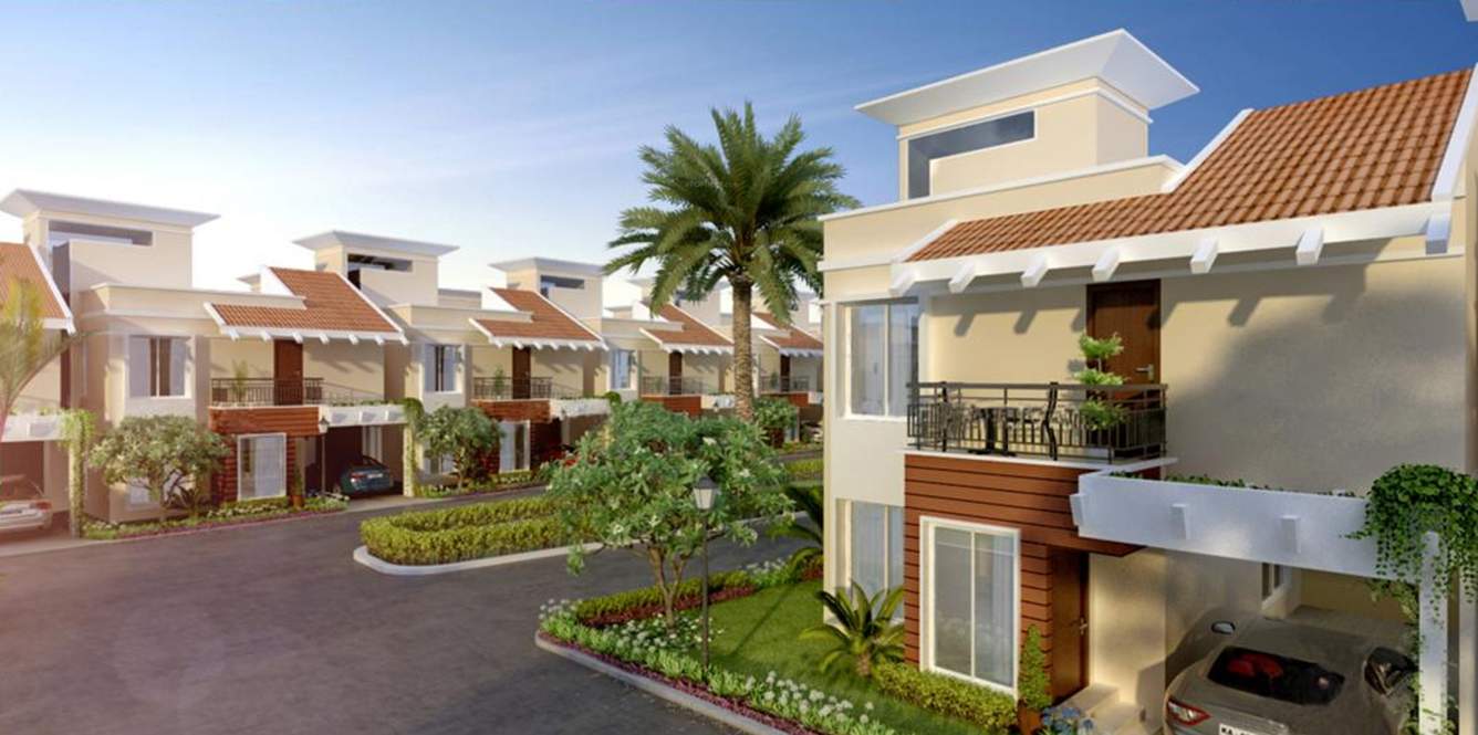  amora Images for Elevation of Aratt Amora