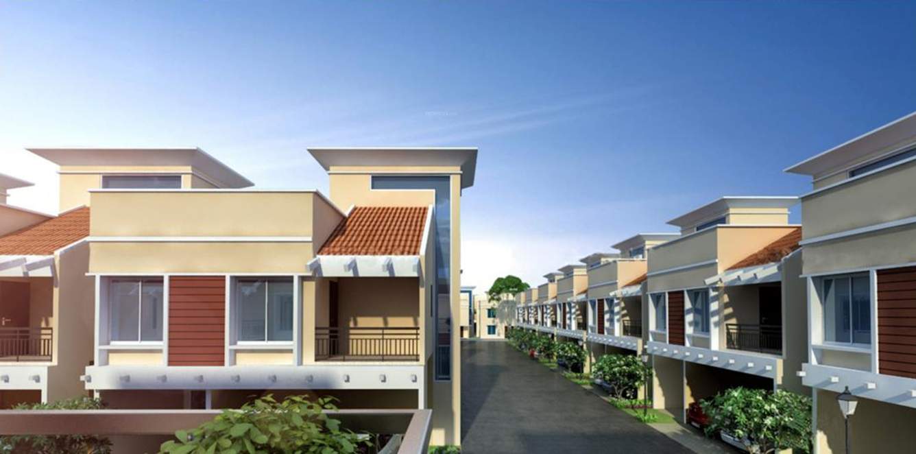  amora Images for Elevation of Aratt Amora