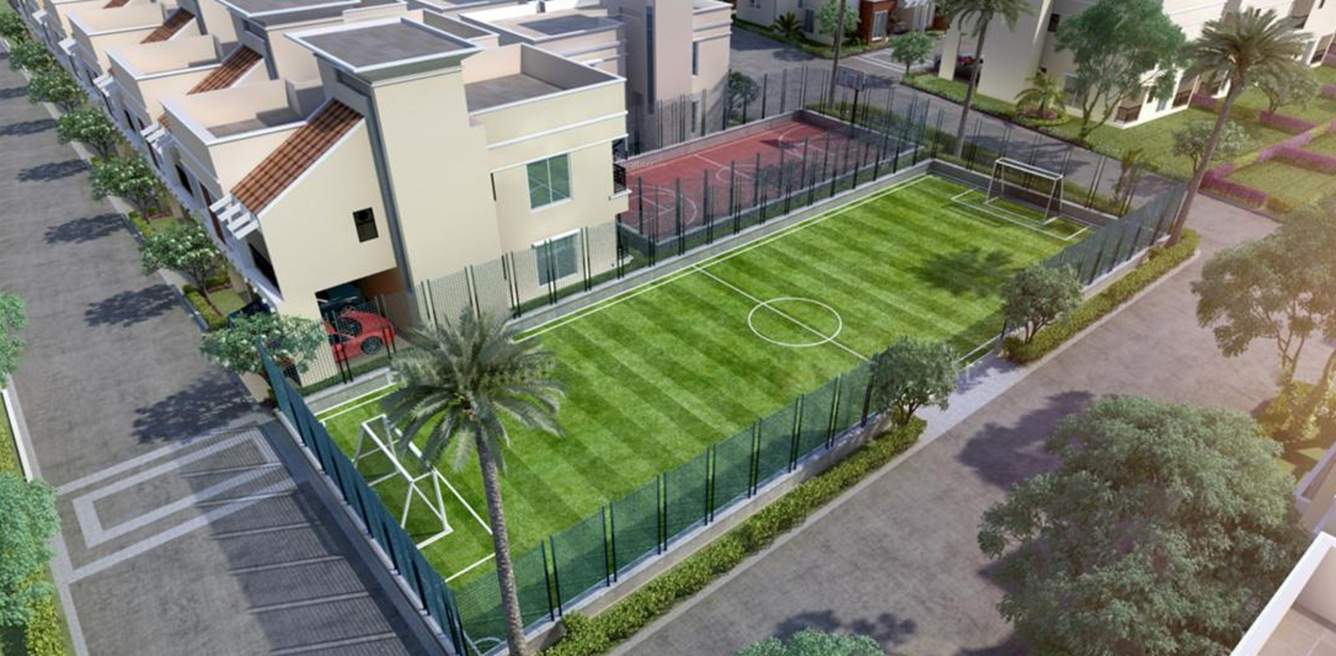  amora Images for Elevation of Aratt Amora