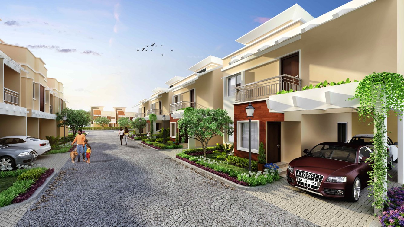  amora Images for Elevation of Aratt Amora