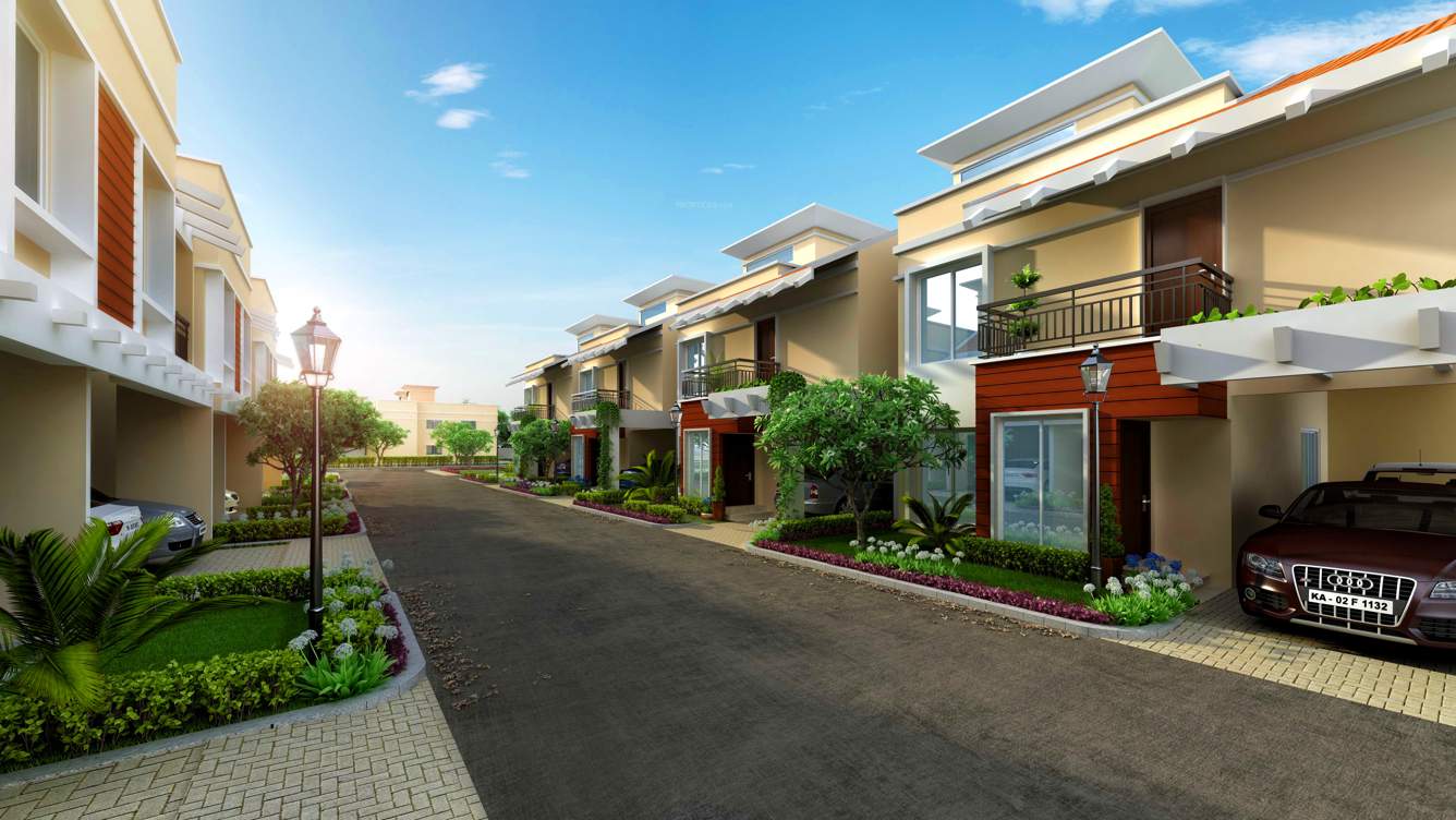  amora Images for Elevation of Aratt Amora