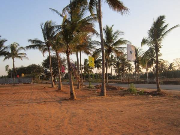 Images for Main Other of Tekton White County