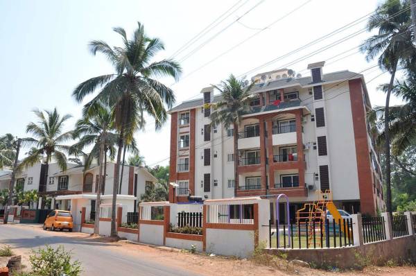 Elevation exotica Elevation