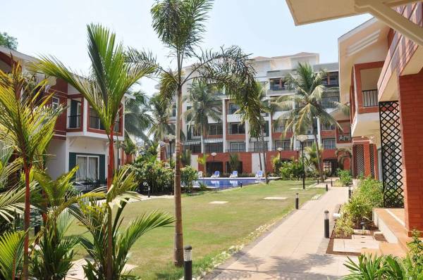  exotica Paved Compound