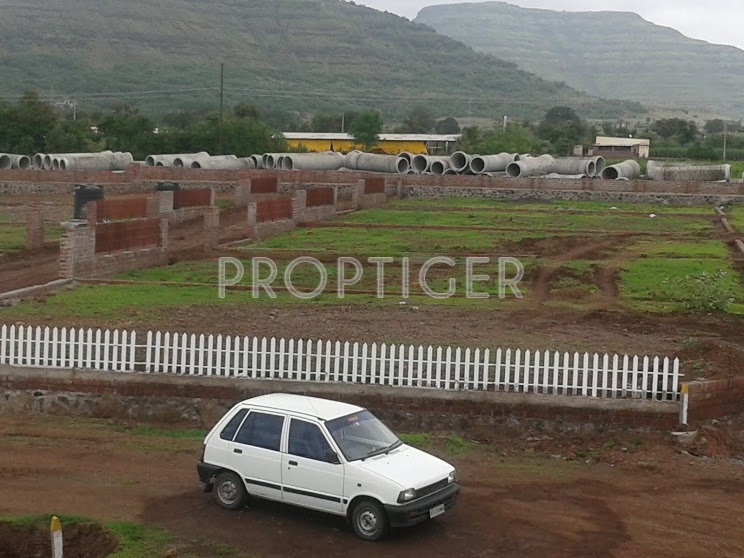 Images for Main Other of Vivid Wind Flower Plots