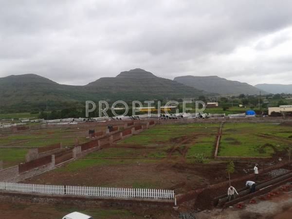 Images for Main Other of Vivid Wind Flower Plots