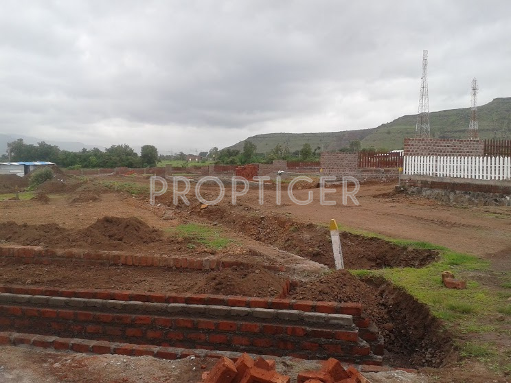 Images for Main Other of Vivid Wind Flower Plots