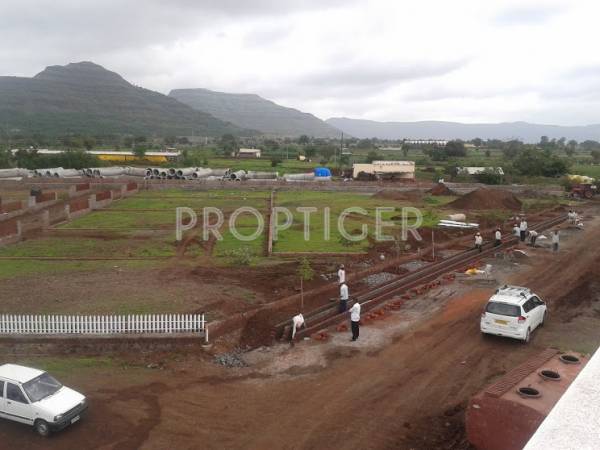 Images for Main Other of Vivid Wind Flower Plots