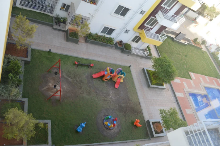 Sriven Luminous Amaltas