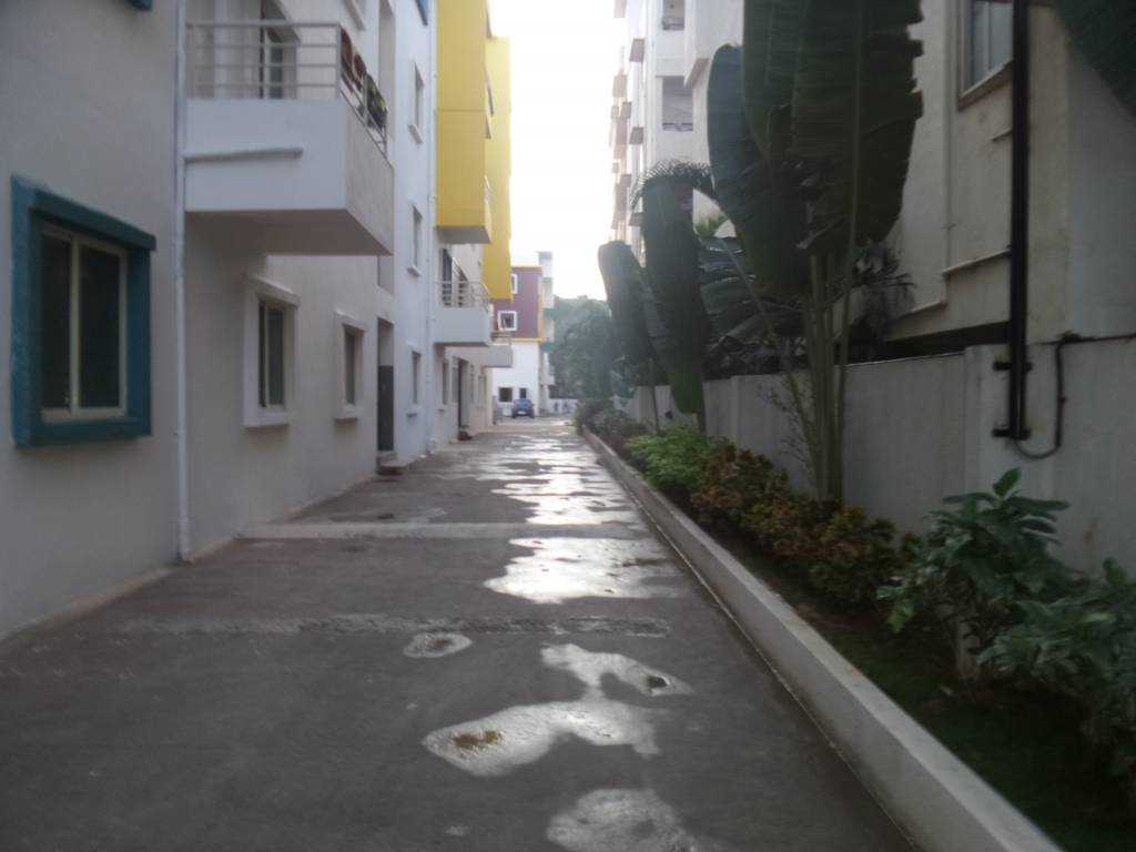 Sriven Luminous Amaltas