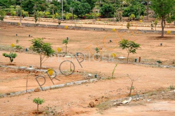 Images for Elevation of City Metro Homes