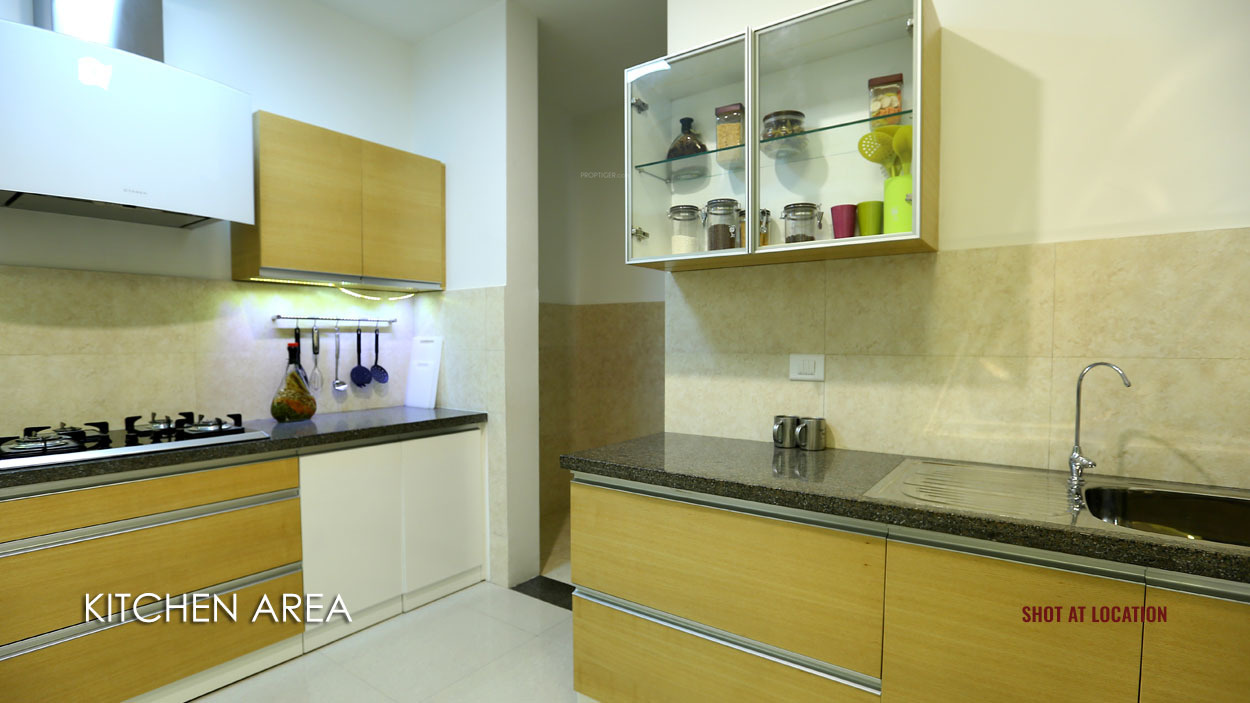 Images for mainOther