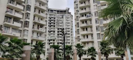 planet Elevation Elevation