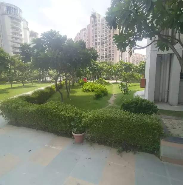  planet Landscape Garden and Tree Planting